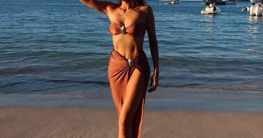 Nina Dobrev didn't appear to be missing ex-fiance Shaun White as she shared more sexy visuals to Instagram to celebrate the new year