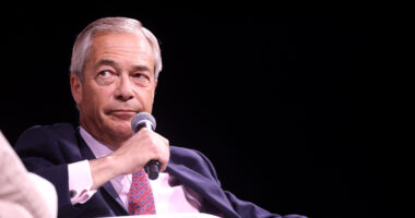 'No Doubt' America Running Greenland Would Be 'Better for the World' – Farage.