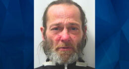 Ohio Man Abducts Car Saleswoman on Test Drive So He Can Run Errands