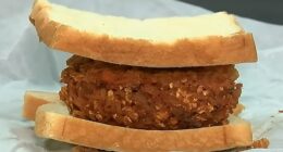 The 'warden burger,' served to isolated inmates for every meal as a punishment