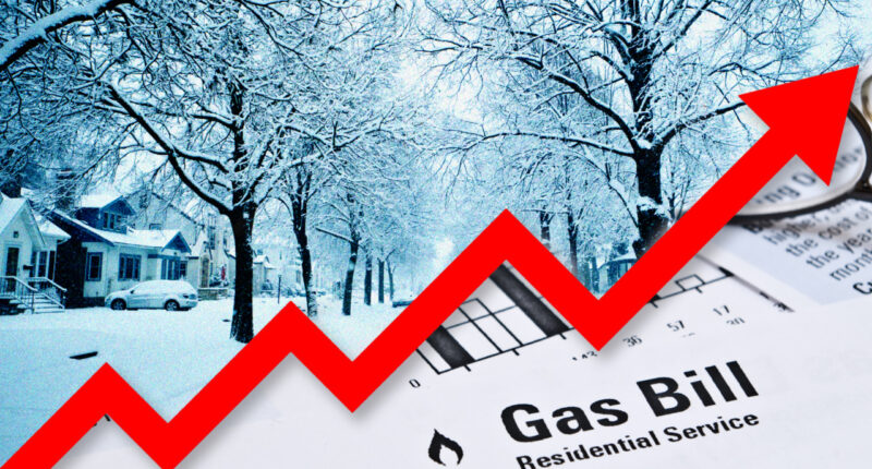One in five Americans can’t afford their heating bills this winter as people are blindsided by utility costs