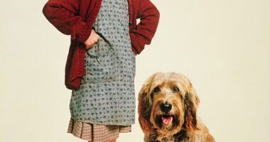 Aileen Quinn established her claim to fame at an early age with her iconic performance in the title role of Annie (pictured). Quinn was just nine years old when she beat out 8,000 other young girls to be cast as the flame-haired orphan in the 1982 theatrical feature