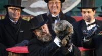 PETA's Latest Groundhog Gimmick Flops – RedState