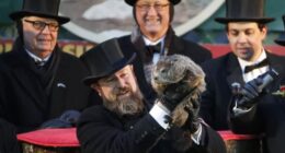 PETA's Latest Groundhog Gimmick Flops – RedState