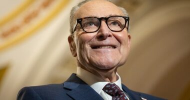 Senate Minority Leader Chuck Schumer, a New York Democrat, speaks at a press conference with other members of Senate Democratic leadership following a policy luncheon at the U.S. Capitol in Washington, DC on January 28, 2026