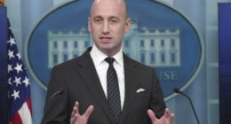 Peace Activist Finds Herself on the Receiving End of Treatment She Gave Stephen Miller's Family – HotAir