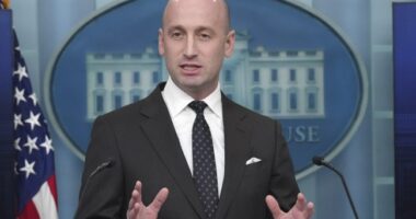 Peace Activist Finds Herself on the Receiving End of Treatment She Gave Stephen Miller's Family – HotAir