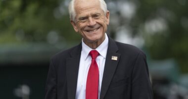 Peter Navarro's Book Is a Raw Retelling of His Experience in Prison – HotAir