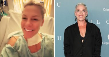 Pink Breaks Silence After Spending New Year’s Eve Alone In Hospital