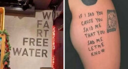 “Please Stroke, I’m Having A Help”: 108 Times People Broke Their Brain Trying To Understand What They’d Read