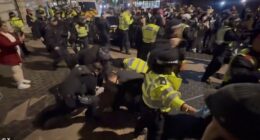 Four police officers suffered minor injuries and 14 people were arrested on suspicion of offences including violent disorder and trespass after a protest at the Iranian Embassy in London, the Metropolitan Police said