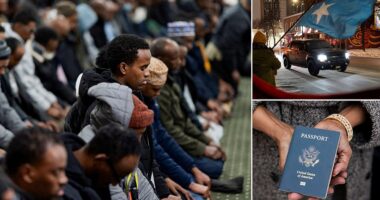 Minnesota's Somali community has been under scrutiny over the fraud scandal that has enveloped state leaders. The outcry had already prompted Minnesota's Democratic Governor Tim Walz to drop his reelection bid, which he did last week, before an ICE officer shot an unarmed woman, further propelling Minnesota into the news. Daily Mail polling conducted January 5 and 6 - also before the fatal ICE shooting - found that the Minnesota fraud scandal was taking a toll on how American voters viewed Somali immigrants. Somalians were viewed least favorably compared to other immigrant groups in the J.L. Partners poll.