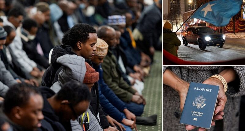 Minnesota's Somali community has been under scrutiny over the fraud scandal that has enveloped state leaders. The outcry had already prompted Minnesota's Democratic Governor Tim Walz to drop his reelection bid, which he did last week, before an ICE officer shot an unarmed woman, further propelling Minnesota into the news. Daily Mail polling conducted January 5 and 6 - also before the fatal ICE shooting - found that the Minnesota fraud scandal was taking a toll on how American voters viewed Somali immigrants. Somalians were viewed least favorably compared to other immigrant groups in the J.L. Partners poll.