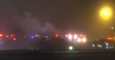 Private Jet Belonging to Immigration Attorneys and Dem Mega Donors Crashes.
