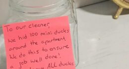 A professional cleaner was lost for words after arriving at a client's home to find a 'game' set up for her to test her skills