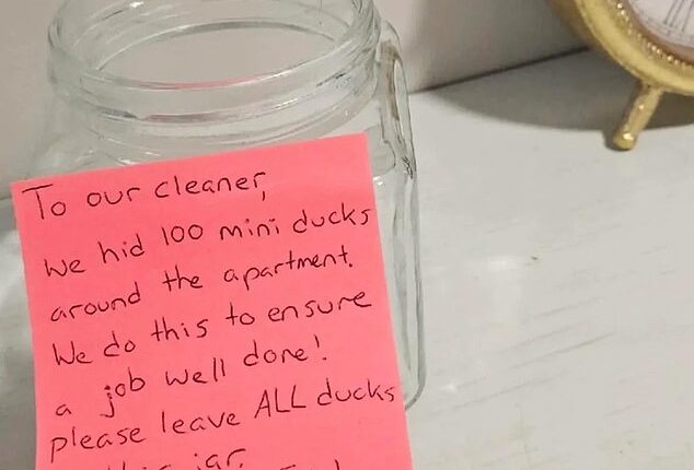 A professional cleaner was lost for words after arriving at a client's home to find a 'game' set up for her to test her skills