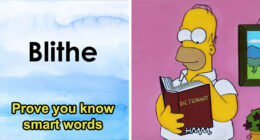 Prove You’re Well-Spoken By Uncovering The Meaning Of These 32 Smart Words