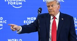 On Wednesday's speech at Davos, Trump said all he is asking for is 'a piece of ice that would help with national security' and that he isn't sure NATO would 'be there for them, like the U.S. is'