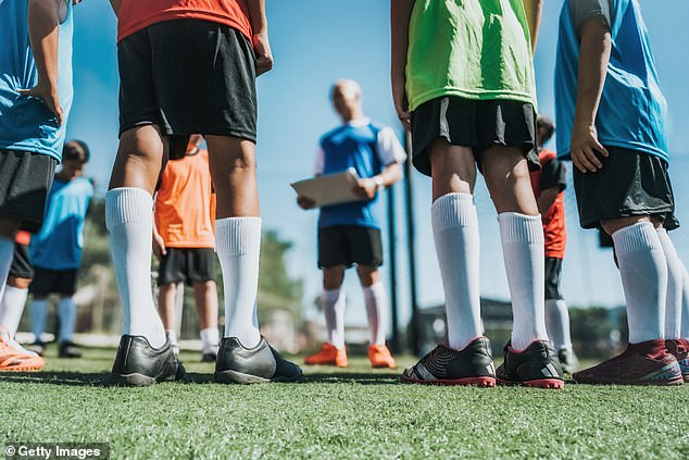 None of these companies are licenced through the FA with sources telling Daily Mail Sport the governing body does not recognise them as affiliated activities