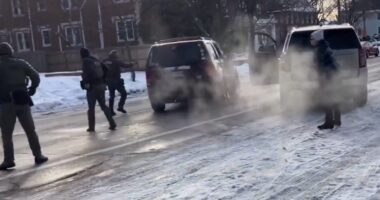 Renee Nicole Good Trained to Be Anti-ICE Activist, Friends Claim.