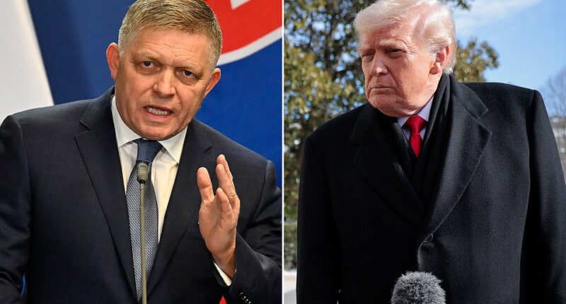 He is the man usually seen as one of President Trump's loudest cheerleaders in the European Union, but Robert Fico has now reportedly returned from Florida with a chilling warning for the continent. The Slovak Prime Minister, who has long championed Trump's 'America First' approach and echoed his criticisms of European weakness, told fellow EU leaders that he was ' shocked' by the President's mental state during a recent sit–down, Politico reports. According to five senior European diplomats briefed on the high–stakes talks, Fico's usual admiration for the 47th President has been replaced by a profound concern. The revelations stem from a private meeting held at Trump's Mar–a–Lago estate on January 17, two diplomats explain to Politico.