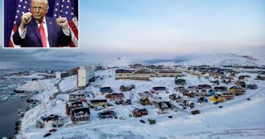 Donald Trump is apparently considering sending money directly to Greenlanders as part of his plotted land grab of the Arctic island. White House officials are discussing a range of options between $10,000 and $100,000 per person to bribe them to let the US take control, people familiar with the matter told Reuters. The population of Greenland sits somewhere around 57,000 and it currently remains a territory of the Kingdom of Denmark. This means that on the higher end the US could end up paying Greenland residents $5.7 billion should the bribe be accepted.