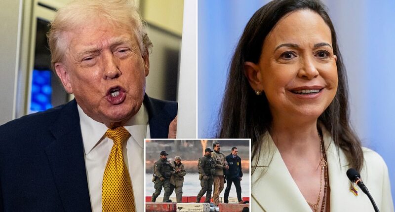 President Donald Trump is noticeably distancing himself from Venezuela's opposition leader María Corina Machado, with White House insiders revealing his displeasure stems from her acceptance of the Nobel Peace Prize—an honor Trump has long coveted for himself. 'If she had turned it down and said, 'I can't accept it because it's Donald Trump's,' she'd be the president of Venezuela today,' a person familiar with Trump's thinking told the Washington Post. 'Her acceptance of the prize was an 'ultimate sin.' While Machado later dedicated the award to Trump, one person said the damage was already done.