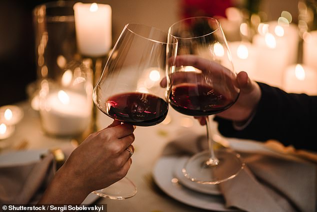 This month, restaurants in Ireland sparked outrage when a woman taking part in Dry January asked multiple venues about taking her own alcohol-free wine to dinner (Stock image)
