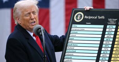 Retirement investors should beware our volatile ‘Marie Antoinette’ market