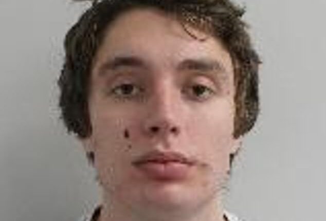 Matvei Rumianstev (pictured) was today found guilty of beating up his girlfriend while she was on a FaceTime call with Barron Trump - but was cleared of raping her