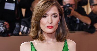 Rose Byrne’s Golden Globe Win Rewrites How You See Her in This 91% RT Thriller Series