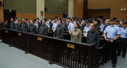 China has executed 11 people linked to Myanmar criminal gangs, including 'key members' of telecom scam operations (pictured, some of the crime family at their sentencing in October at the Wenzhou Intermediate People's Court in eastern China's Zhejiang Province)