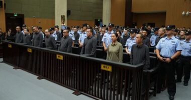 China has executed 11 people linked to Myanmar criminal gangs, including 'key members' of telecom scam operations (pictured, some of the crime family at their sentencing in October at the Wenzhou Intermediate People's Court in eastern China's Zhejiang Province)