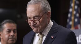 Schumer, Dems Ramp Things Up With Ugly Move on DHS Funding Bill After Border Patrol Shooting – RedState