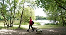 Scientists reveal this five-minute exercise could help you live longer