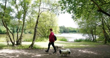 Scientists reveal this five-minute exercise could help you live longer