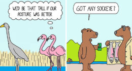 Scott Johnston’s Latest 58 Humorous Comics That Might Make Your Day