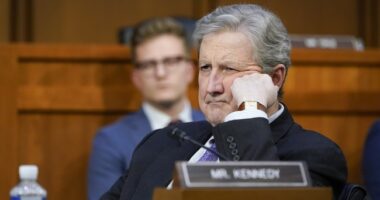 Sen. Kennedy Demolishes Tim Walz and the Anti-ICE Crew as Only He Can – RedState