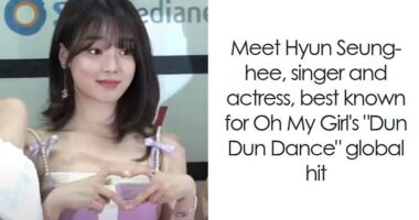 Seunghee: Bio And Career Highlights