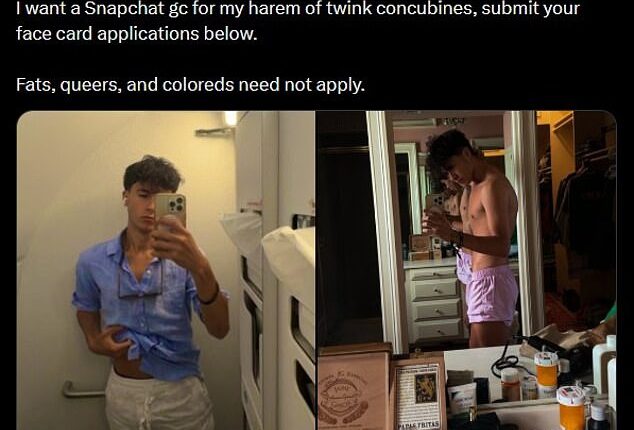 Preston Parra, 24, interned for Rep. Mike Collins, R-Ga., before working on behalf of his campaign. He is a self-proclaimed racist twink who regularly posts sexual and derogatory content despite running a political firm