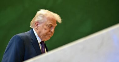 South Korean auto, pharma stocks rattled after Trump threatens to impose 25% tariffs