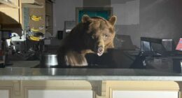 Stocks need to find their footing fast if investors hope to keep the bears away