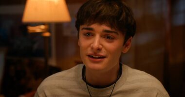 'Stranger Things 5' Missed a Major Opportunity To Give Will the Ending He Deserved