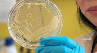 Study helps explain rare condition that causes the body to produce its own alcohol