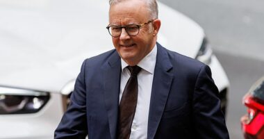Anthony Albanese's (pictured) approval rating has dropped to minus 22 in a new Resolve poll