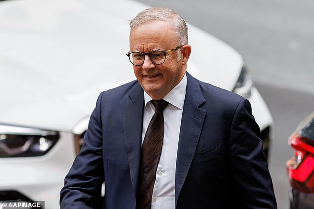 Anthony Albanese's (pictured) approval rating has dropped to minus 22 in a new Resolve poll