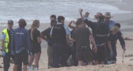 A young man was attacked by a shark at Manly Beach