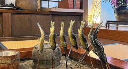 TRAVEL | Daily Mail Online