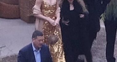 Taylor Swift stole the spotlight alongside Stevie Nicks at Este Haim's wedding