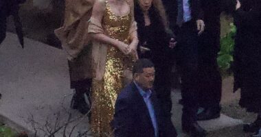 Taylor Swift - pictured with Steve Nicks - was a star attraction at the California wedding of her good friend Este Haim, but it was her sparkly dress that had fans really talking